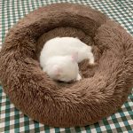 COMFYDEN