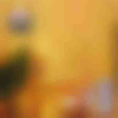 2x Praznična LED zavesa | CURLIGHT