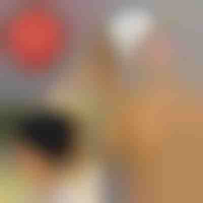 Pletena kapa z odprtino za čop | BEANIEHUT 1+1 Gratis