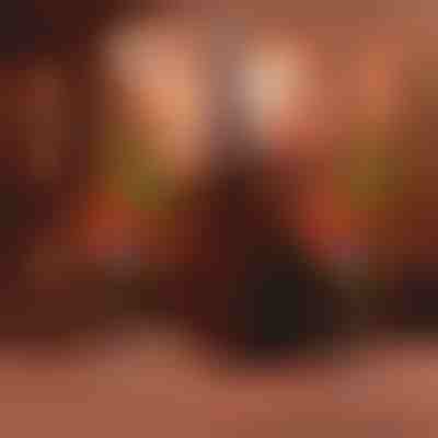 Solarna svetlobna cipresa | CUPRESSUS