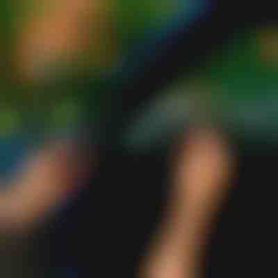 Tesnilni trak za avtomobilska vrata (5m) | EVOSEAL