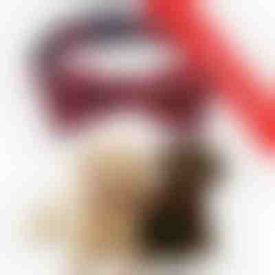 Praznična ovratnica za pse s snežinkami | DOGICOLLAR 1+1 GRATIS